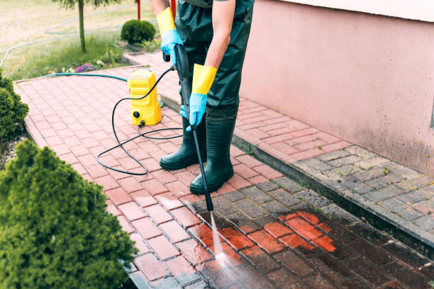 Best Animal Enclosure Cleaning  in Old Tappan, NJ